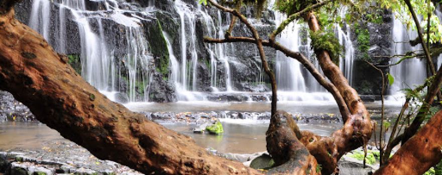 Purakaunui Falls Walk