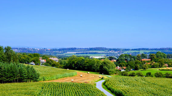 Blueberry lookout Tower