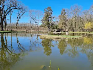 Széchényi-Wenckheim kastélyrom