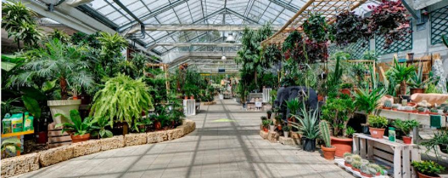 Lavaux Garden Center