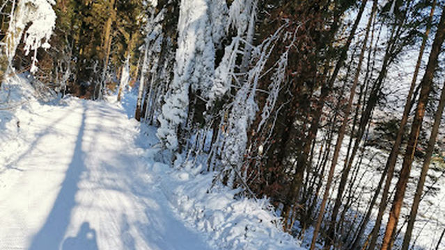 NORDIJSKI CENTER BONOVEC