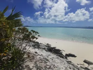 Sand Dollar Beach