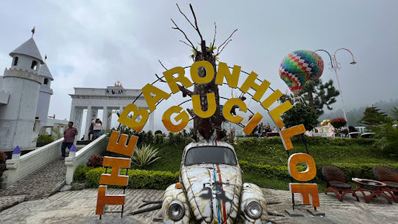 The Baron Hills of Guci