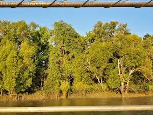 Adelaide River Foreshore Conservation Area
