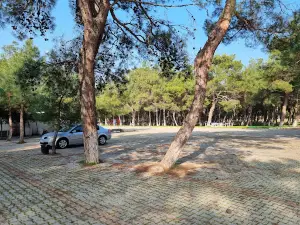 Sarnıç Piknik Alanı