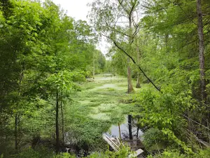 Yazoo National Wildlife Refuge