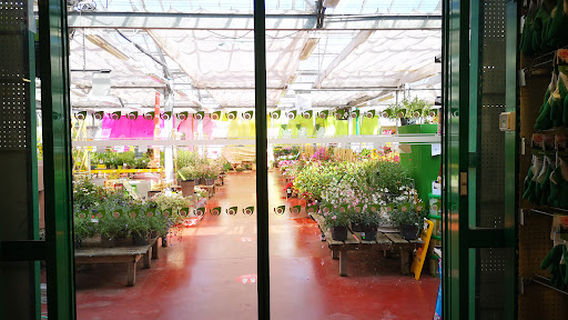 Magasin Vert QUIMPER