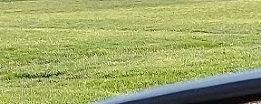 Stan Balliett Field