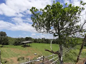 Penangkaran Rusa Penajam