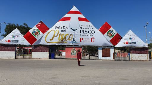 Campo Ferial La Vendimia