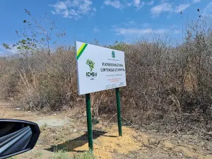 Floresta Nacional Contendas do Sincorá