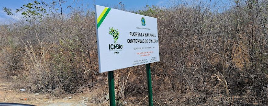 Floresta Nacional Contendas do Sincorá