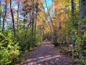 Gateway Wetlands and Conservation Area