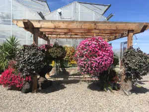 Country Blooms Garden Centre