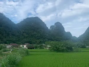 Giấy bản Thành Kính - paper handmade