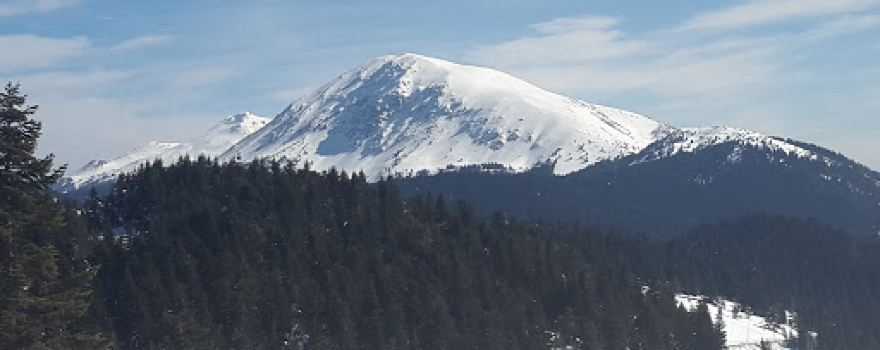 Gıda Tarım Ve Hayvancılık Bakanlığı Ilgaz Dağı Milli Park
