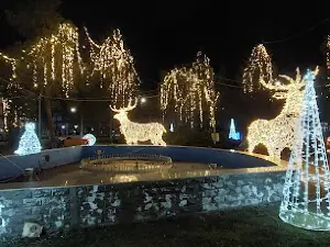 City Park Bals