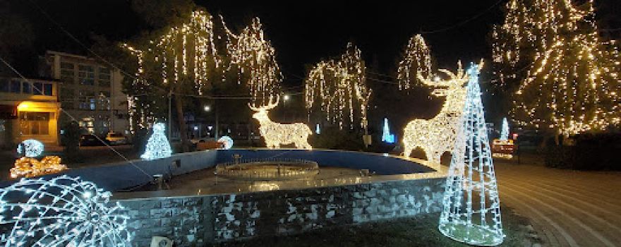 City Park Bals