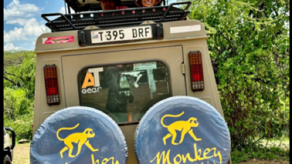 Monkey Adventures