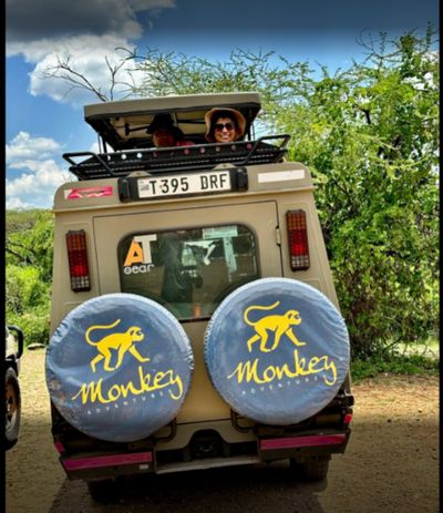 Monkey Adventures