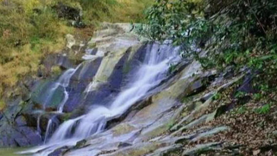 Longtan Chong Tourist Resort