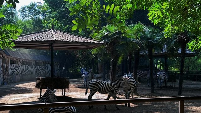 Zhengzhou Wild Animal Park