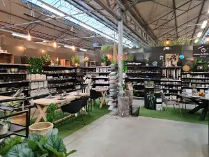 Oh! Green Tournai