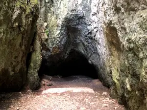 Łokietek Cave