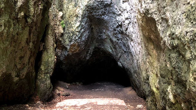 Łokietek Cave