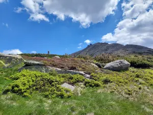 Krkonoše National Park