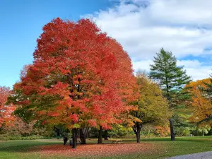 Saint-Jean-Bosco Park and Center