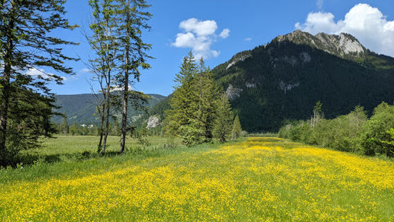 Oberammergau