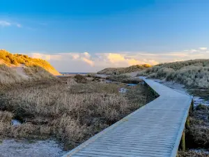 Balmedie Country Park