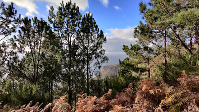 Miradouro da Raposeira