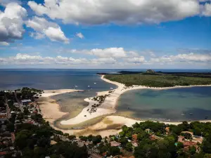 Alter do Chão - Selvagem Tours
