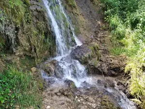 Воденица - Tемска