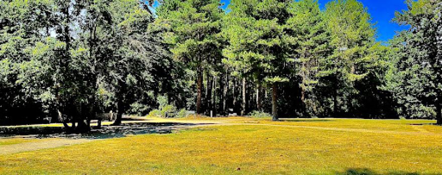 West Walk, Forest of Bere