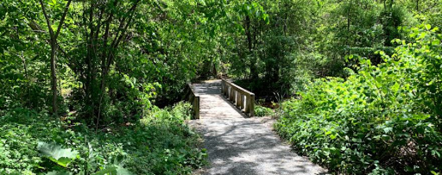 Cold Spring Park
