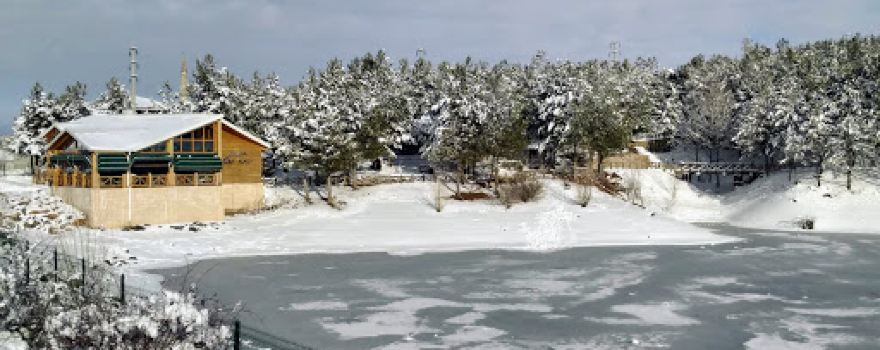 Yozgat Kent Ormanı
