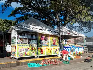 Vijes Main Park