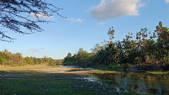 KOLAM RENANG OEL MASLETE