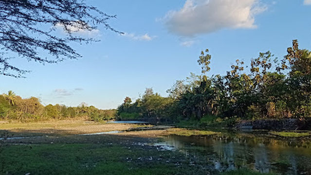 KOLAM RENANG OEL MASLETE
