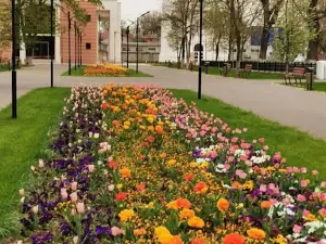 Direcția de Cultură a Municipiului Oltenița