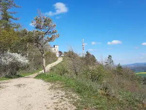 Großer Hörselberg