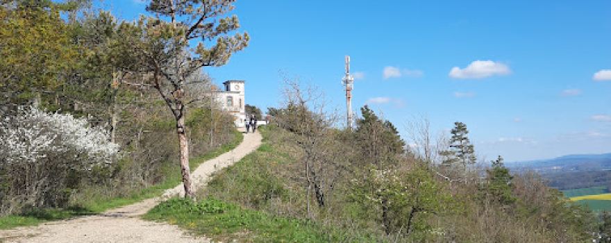 Großer Hörselberg