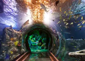 SEA LIFE Grapevine Aquarium