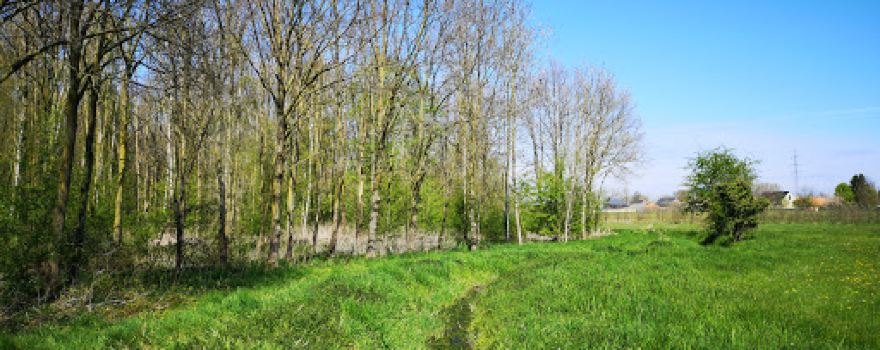 Mombeekvallei Sint-Lambrechts-Herk & Alken