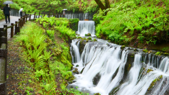 Shiraito Waterfall