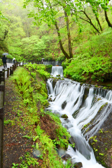 Shiraito Waterfall