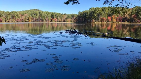 Парк штата Дейнгерфилд